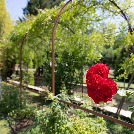 Le Moulin De Mitou 호텔