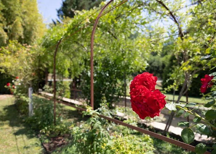 Le Moulin De Mitou מלון