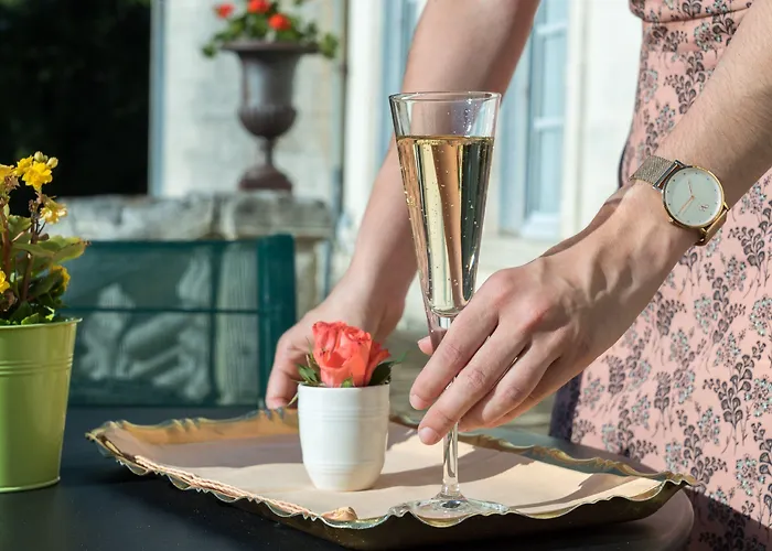 Le Moulin De Mitou Hotel Auriac-du-Périgord